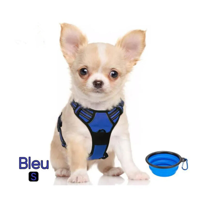 Sangle De Chien Bleu 34-63cm - Fuienko