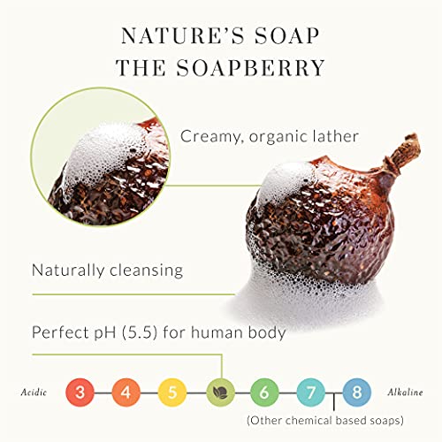 Tree to Tub Sensitive Skin Face Wash for Dry Skin - Moisturizing Gentle Face Cleanser for Women & Men  Hydrating Foaming Facial Cleanser  Daily Face S thumbnail