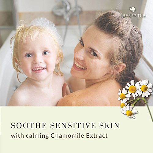 Tree to Tub Sensitive Skin Face Wash for Dry Skin - Moisturizing Gentle Face Cleanser for Women & Men  Hydrating Foaming Facial Cleanser  Daily Face S thumbnail