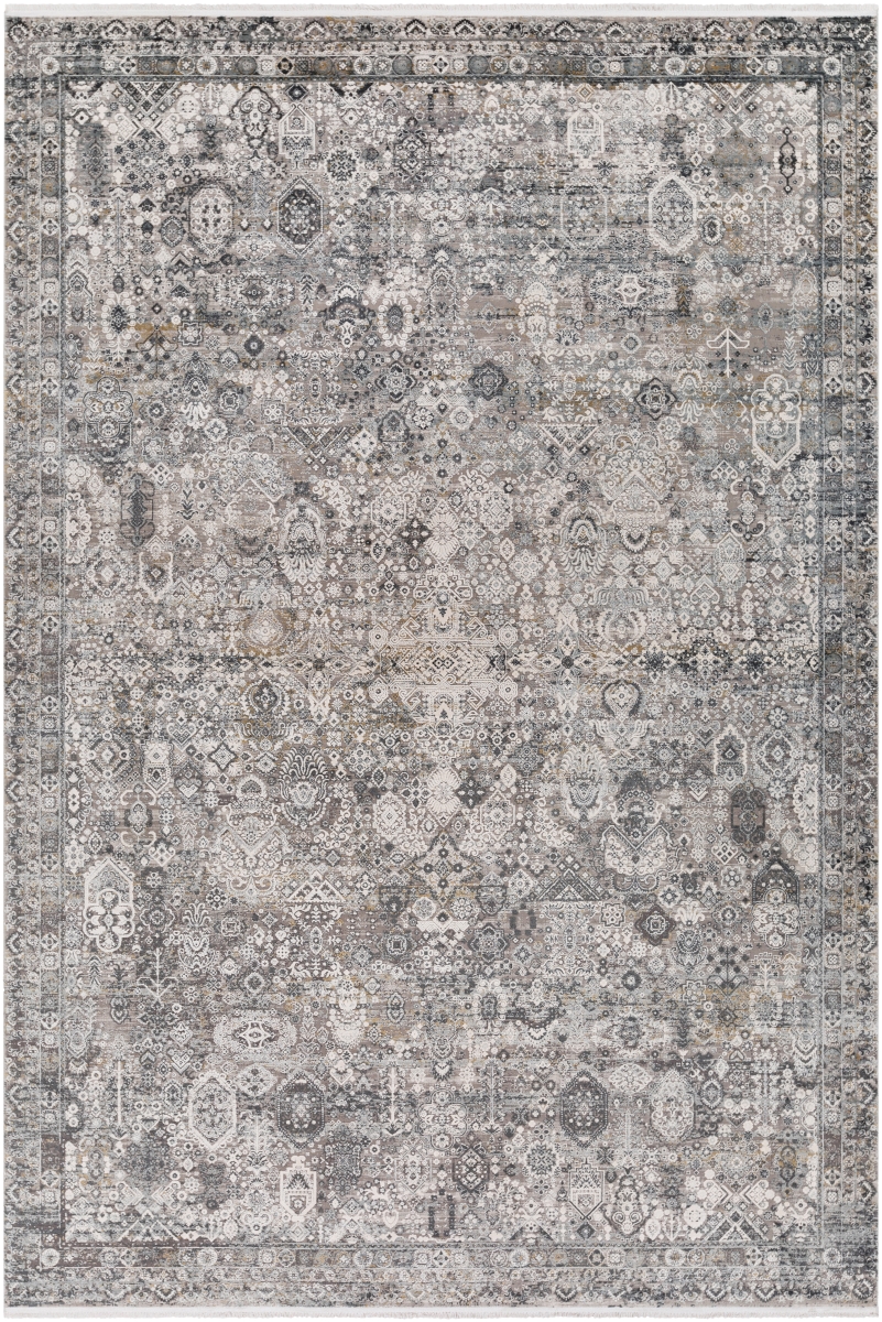 Surya Solar SOR 2313-2314 Area Rug - SOR2313-6796