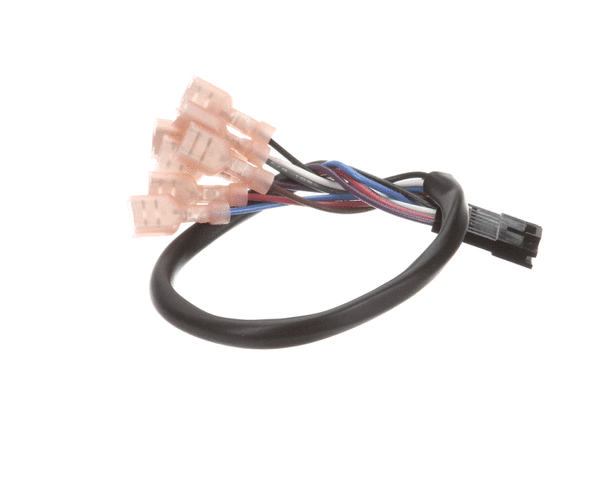 5999-004-10-49 Membrane Switch Wire Harness