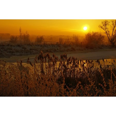 Cane Winter Golden Hour Light Frost Sunset River-12 Inch by 18 Inch Laminated Poster with Bright Colors and Vivid Imagery-Fits Perfectly in Many Attra