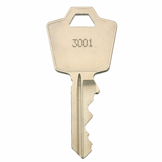 ESP 3119 Replacement Key