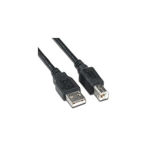 10ft USB Cable for: HP Scanjet 4890 Photo Scanner (L1952A#B1H) [Office Product]