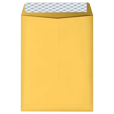 MyOfficeInnovations EasyClose Catalog Envelope 6  X 9  Kraft 100/Box (20140)
