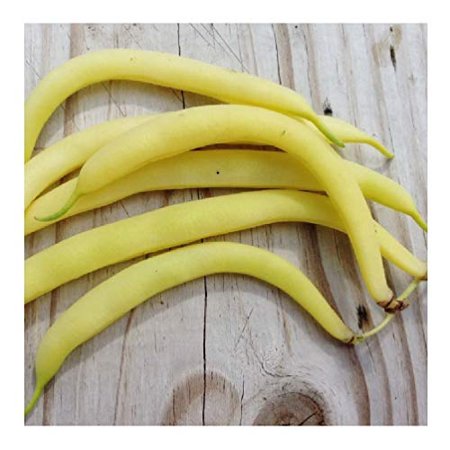 David S Garden Seeds Bean Bush Topnotch Wax 1353 (Yellow) 100 Non-GMO  Heirloom Seeds