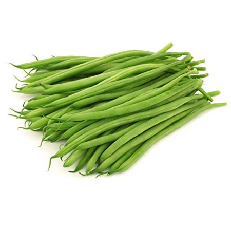 Harvester Bush Bean Seeds for Planting  50+ Heirloom Seeds per Packet  (Isla S Garden Seeds)  Non GMO Seeds  Botanical Name: Phaseolus Vu Aris  Great 