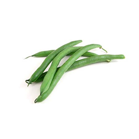 Isla S Garden Seeds 50 Slenderette Bush Bean Plant Seeds  Non-GMO