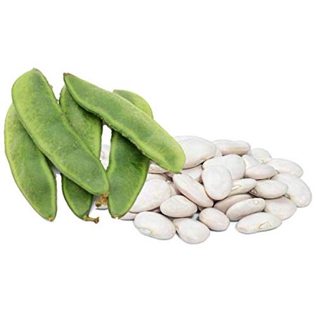 Henderson Lima Bush Bean Seeds for Planting  30+ Seeds per Packet  (Isla S Garden Seeds)  Non GMO Heirloom Seeds  Botanical Name: Phaseolus Lunatus  G