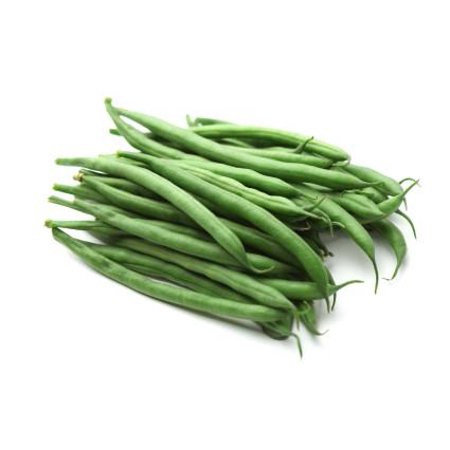 PAPAW S GARDEN SUPPLY LLC. HELPING the NEXT GENERATION GROW! Provider Bush Green Bean 350 Seeds