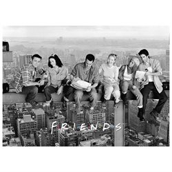 Friends Over New York 1000 Piece Jigsaw Puzzle Joey Monica Chandler Phoebe +