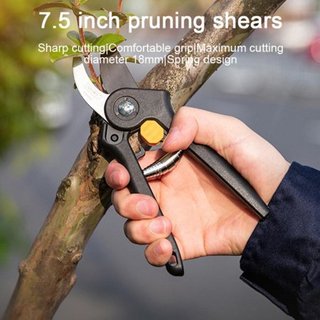 Titanium Pruning Shears - Best Garden Shears  Tree Trimmer  Hand Pruner-Ideal Branch  Hedge  Shrub & Bush Clippers-Razor Sharp Bypass Secateurs Ergono