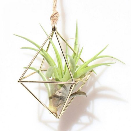 MEROTABLE Hanging Plants Rack Metal Geometric Iron Art Flower Planter Pot Home Office Decoration J1
