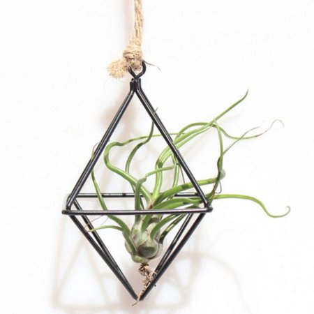 MEROTABLE Hanging Plants Rack Metal Geometric Iron Art Flower Planter Pot Home Office Decoration B1