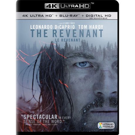 Revenant the (2015)