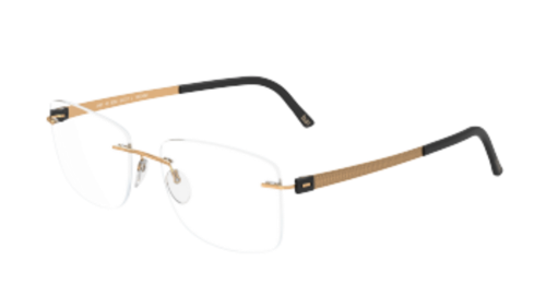 Silhouette Eyeglasses TITAN ACCENT 5450 6051