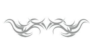 Fenster- Und Car-Tattoo Silber 2er-Set Rechts/links Je 190 X 420 Mm ~ Schneller Versand Innerh