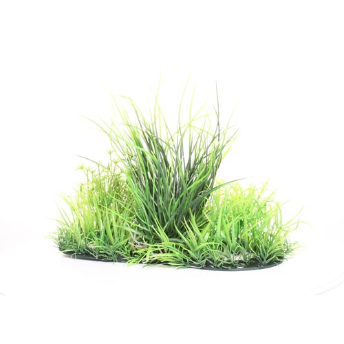 Underwater Treasures Grass Combo - 7.5