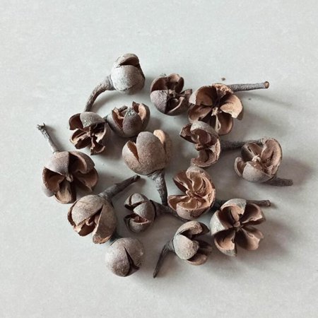 MEROTABLE Valentine S Day Gift Natural Dried Flower Handmade Aromatherapy Candle DIY Decoration Accessories F