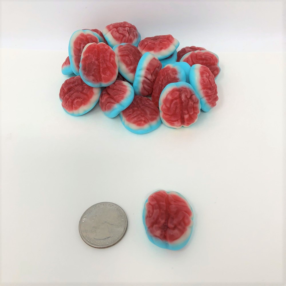 Gummi Brains 1 Pound Brain Candy Halloween Gummy Skull Candy