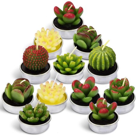 LA BELLEFÃ‰E Cactus Tea Lights Candles  Terrarium Candle Gift Set for Valentines Day  Smokeless Handmade Cute Candles for Home Scented Birthday Wed