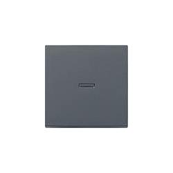 GIRA Abdeckung Kontrollschalter System 55, Standard 55, E2, Event, Event Klar, Event Opak, Esprit, ClassiX Anthrazit 02 (029028)