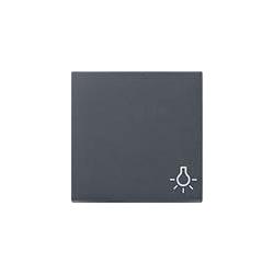 GIRA Abdeckung Symbolwippe Licht System 55, Standard 55, E2, Event, Event Klar, Event Opak, Esprit, ClassiX Anthrazit (028528)
