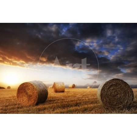 Beautiful Golden Hour Hay Bales Sunset Landscape Print Wall Art by Veneratio Sold by Art.Com