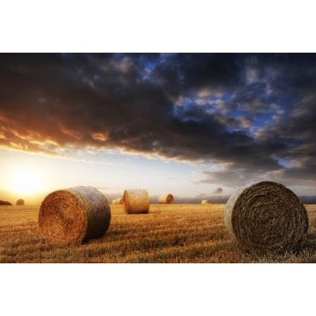 Beautiful Golden Hour Hay Bales Sunset Landscape  Unframed Photographic Print Wall Art by Veneratio Sold by Art.Com