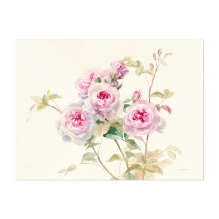 Sweet Roses Illustrations Floral Botanical Nature Vintage 16  X 20  Art Print/Poster