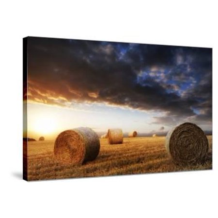 Beautiful Golden Hour Hay Bales Sunset Landscape  Stretched Canvas Wall Art by Veneratio Sold by Art.Com
