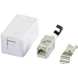 RJ45 Keystone,White,1.181
