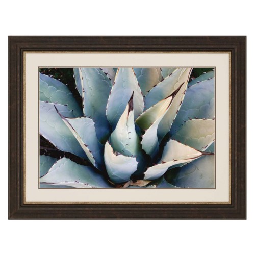 Paragon Agave New Mexico Framed Wall Art - 1744