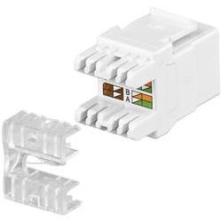 Wentronic Goobay - Modulare Eingabe - RJ-45 (95738)