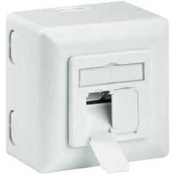 Goobay Netvrksstikdse Overflademonteret CAT 6A 2 Porte Hvid