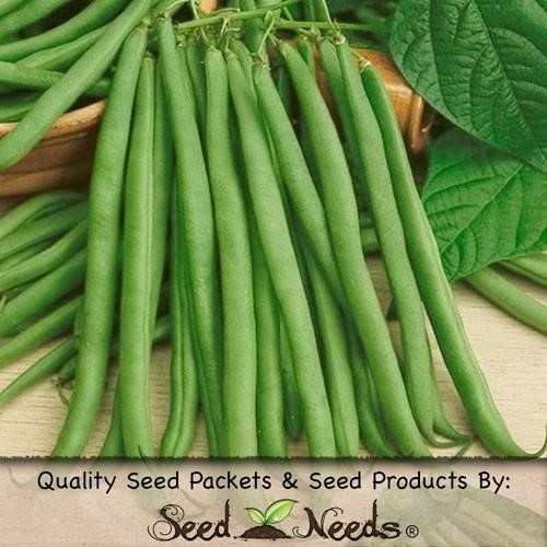 Packet of 170 Seeds, Topcrop Bush Bean Seeds (Phaseolus Vulgaris)
