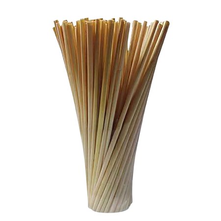 Roliyen 100PC Wheeat Straw Environmental Protection Creative Hot Party Wheaat Straw