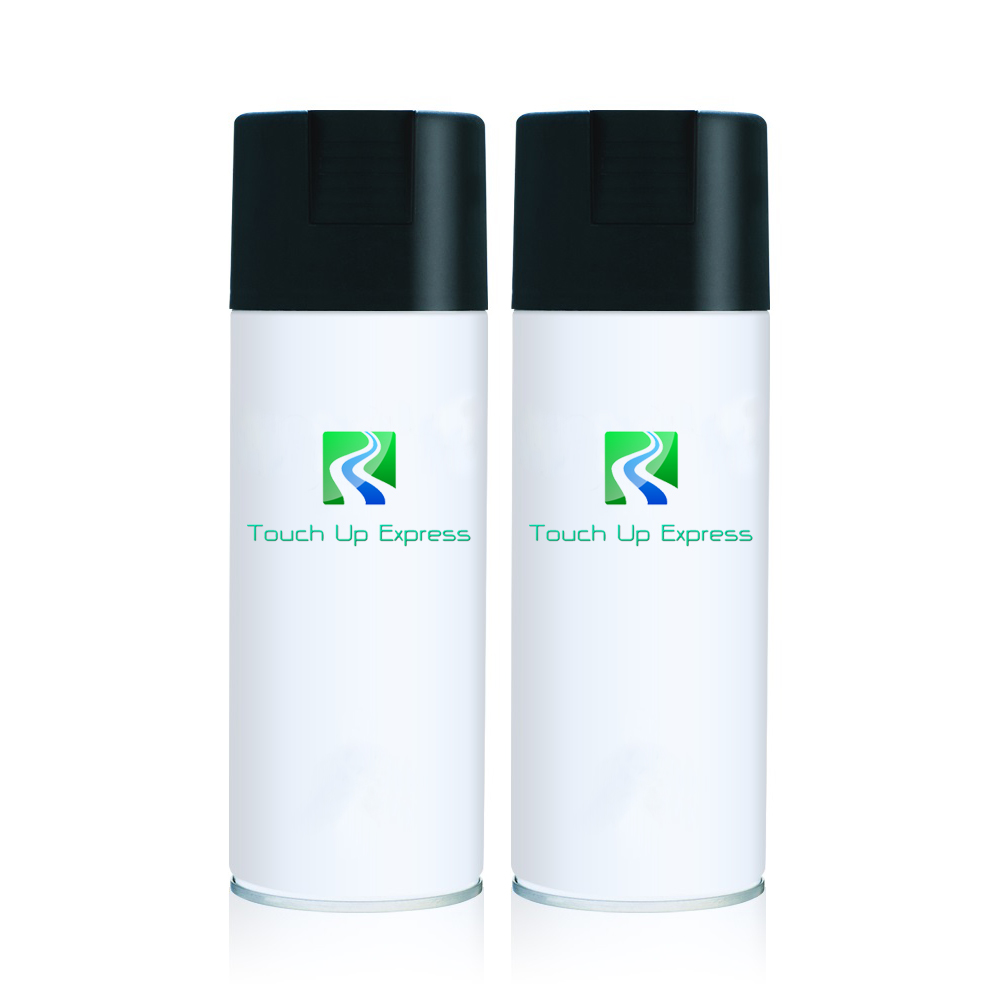 Roadmaster Wagon 9021 Bright Silver Metallic 12oz Aerosol Spray Kit