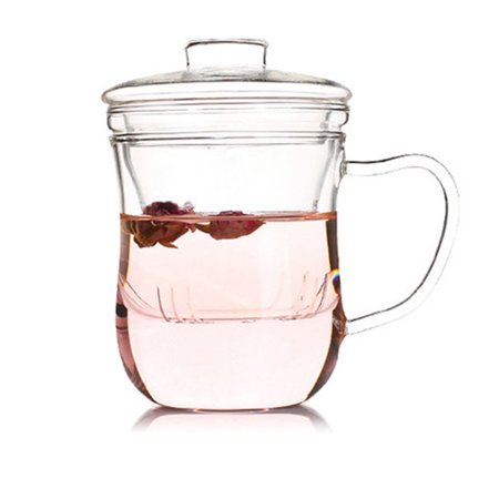 Floepx Home 12 Fl Oz Glass Tea Cup Mug Set with Lid and Infuser  Heat-Resistant Glass Teapot Water Drinking Bottle