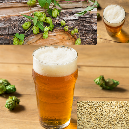 Tapcraft American Cream Ale Homebrew Beer Recipe Kit – Light Golden Ale – 5 Gallon Extract + Grain