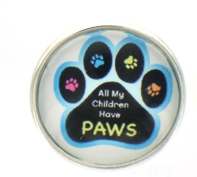 Snap Glass Button Charms Jewelry All My Children Have Paws