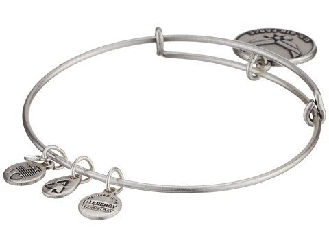 Alex and Ani U.S. Air ForceTM Charm Expandable Bangle Bar Bracelet