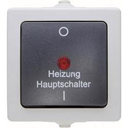 Kopp 565356002 Thermoplast Schwarz - Grau Lichtschalter (565356002)