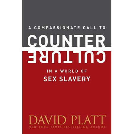 Compassionate Call to Counter Culture in a World of Sex  a Paperback - USED - VERY GOOD Condition
