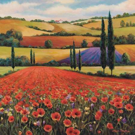 Fields of Poppies II Poster Print by Unknown Unknown (24 X 24) # 4973