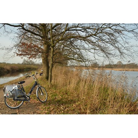 Bike Path Bicycle Autumn Tree Landscape Water-12 Inch by 18 Inch Laminated Poster with Bright Colors and Vivid Imagery-Fits Perfectly in Many Attracti