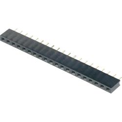 BKL Electronic Buchsenleiste (Standard) Anzahl Reihen: 1 Polzahl Je Reihe: 36 10120802