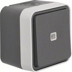 Berker Toggle Switch W.1 (surface-mounted) Grey, Light Grey 30763525