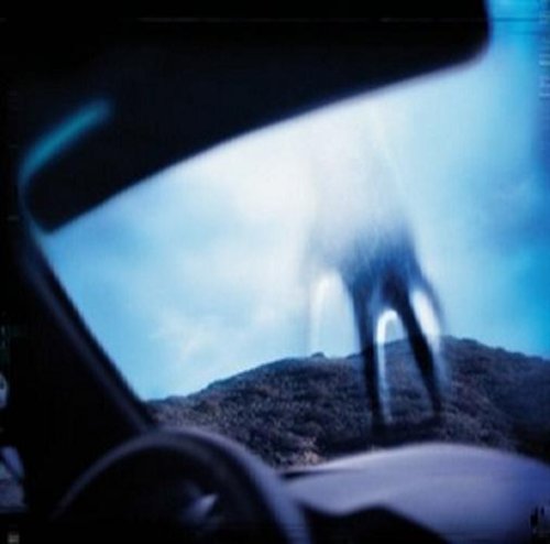 Nine Inch Nails Year Zero US 2-LP Vinyl Set
