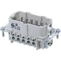 Wieland 70.310.1640.0 Revos BASIC 500V 16 Pin + PE Revos BASIC 500